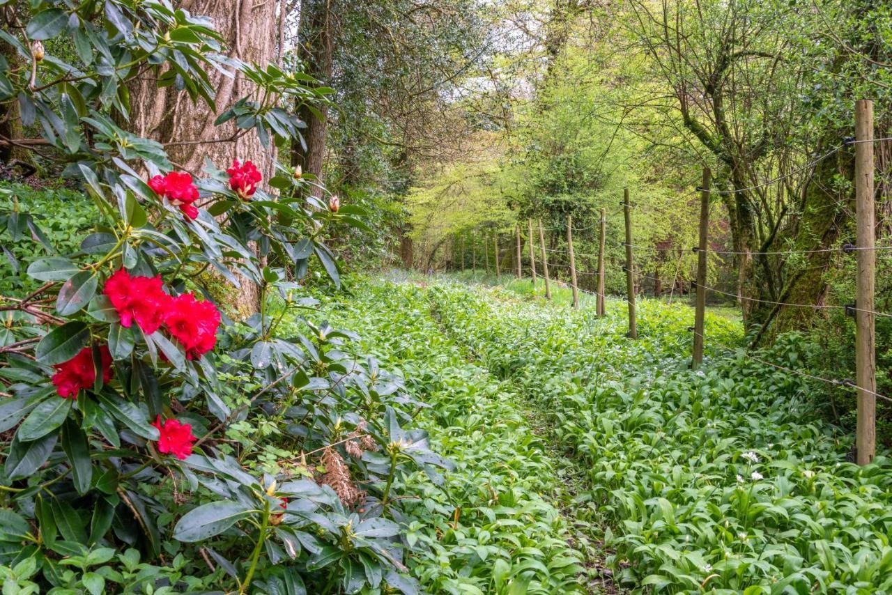 덜버턴 Nutsford House B&B 외부 사진